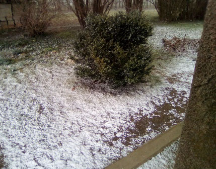 putenis 29. mar 2022.